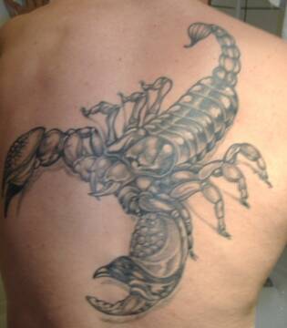 Public Photo of skorpyon69@hot